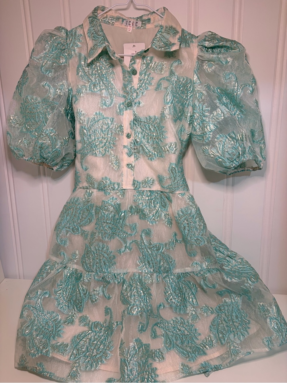 TCEC Aqua Mint Floral Organza Puff-Sleeve Mini Dress
